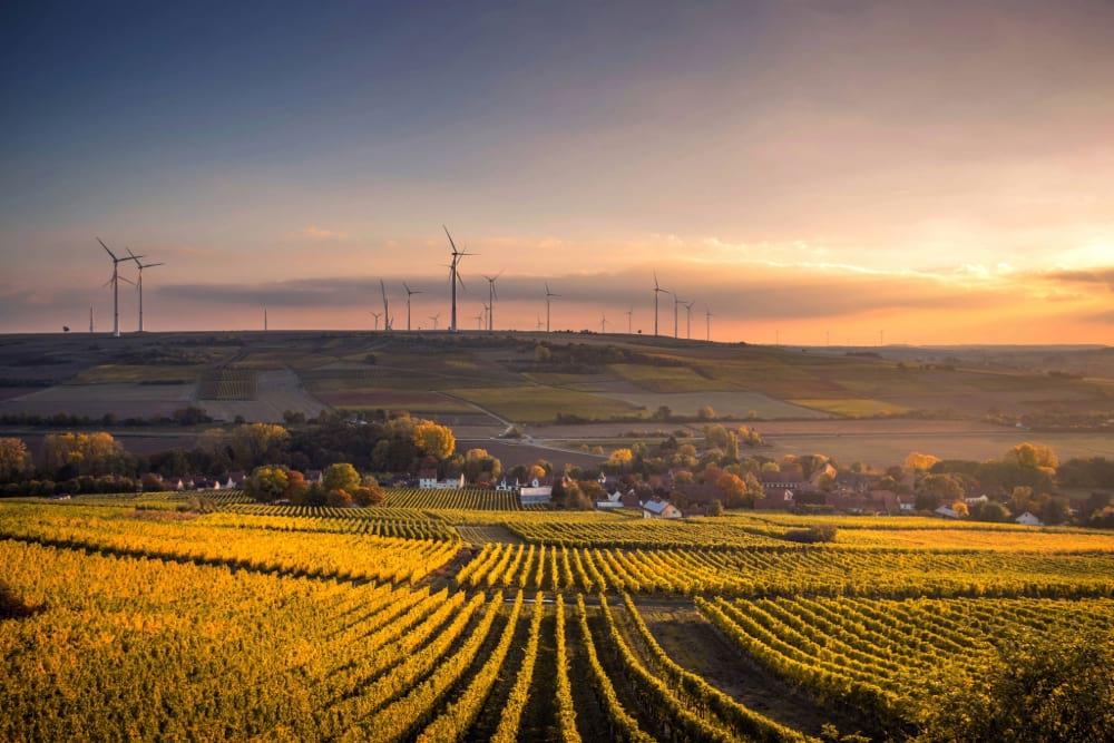 Agricultural fields with wind turbines and a small town